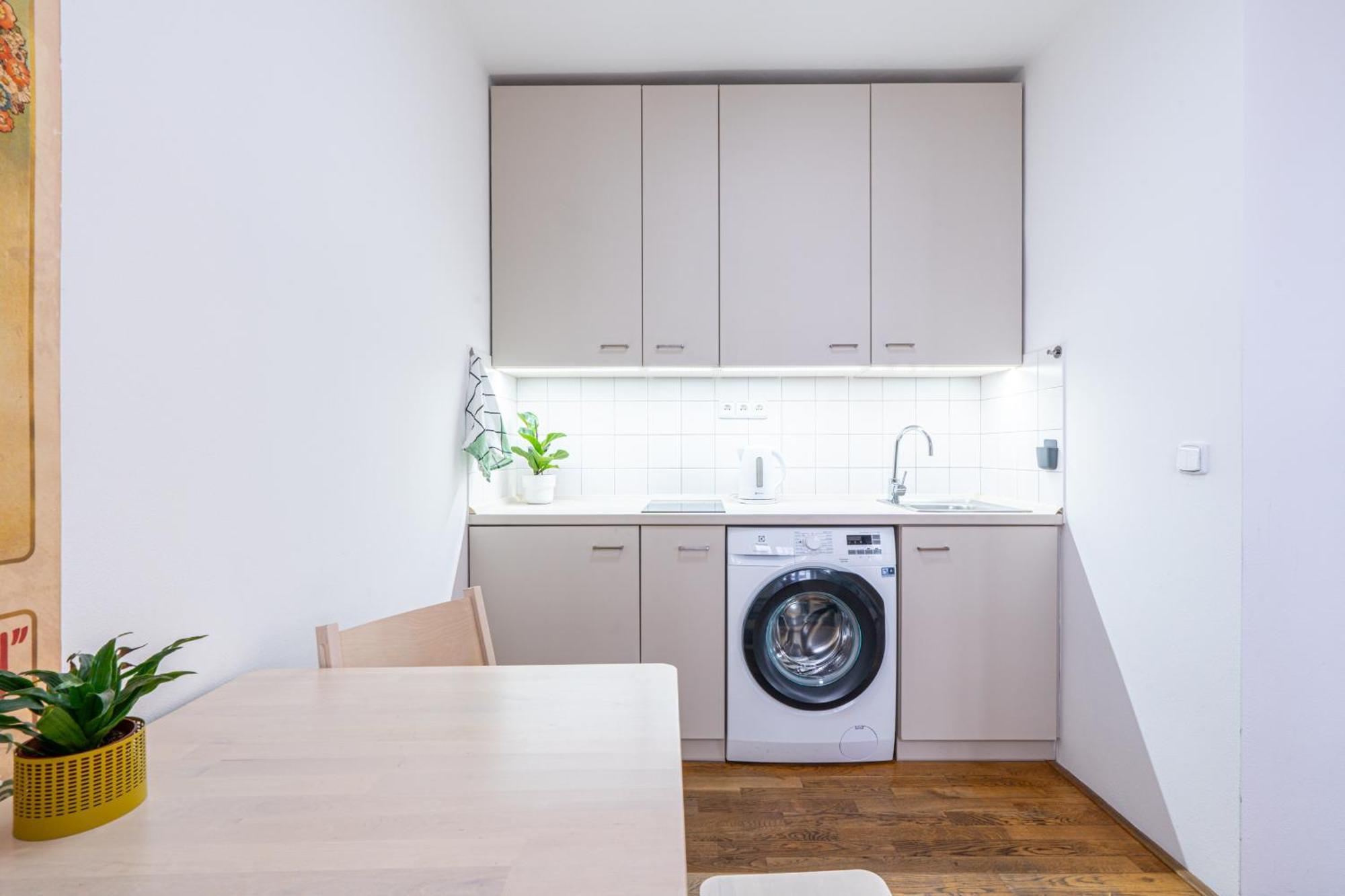 Apartment Mitte