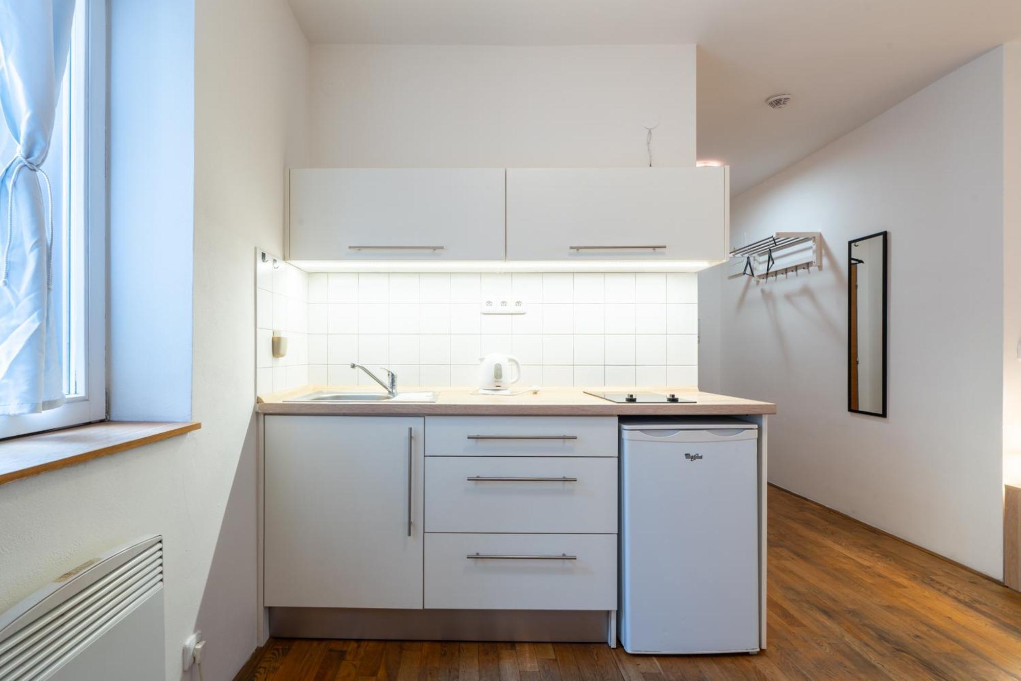 Apartment Mitte
