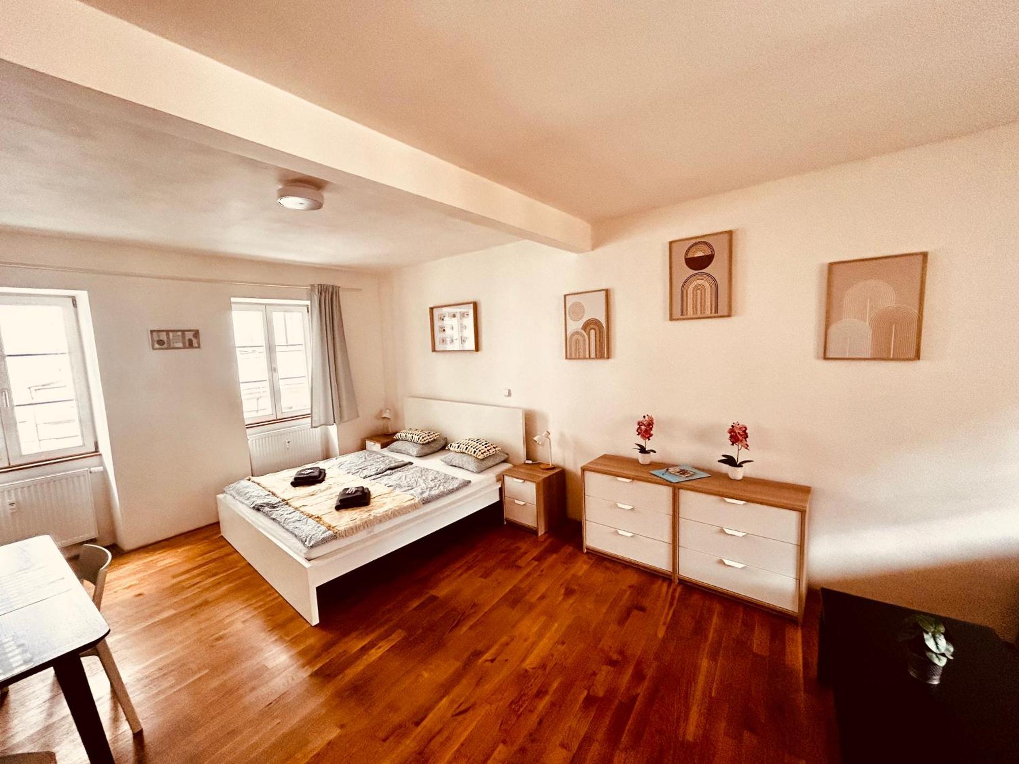 Apartment Mitte